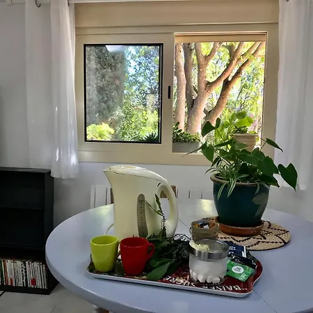 Joli Les Hibiscus Du Pic Loup *