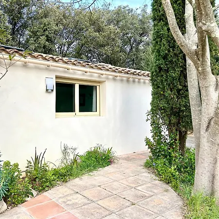 Joli Les Hibiscus Du Pic Loup Lägenhet